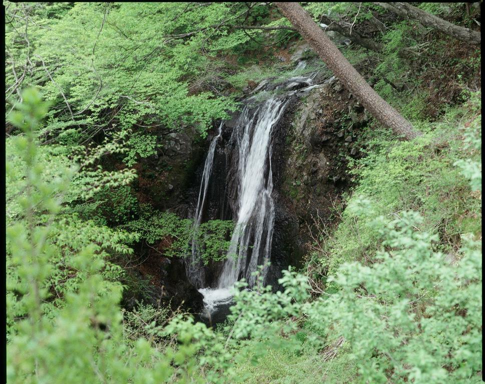 Hatago Chujikan Ξενοδοχείο Maebashi Εξωτερικό φωτογραφία